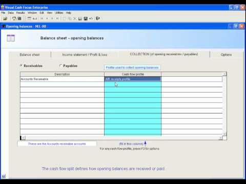 What are Opening Balances in Visual Cash Focus