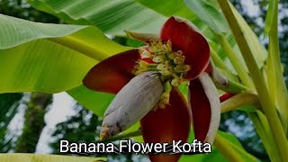 Mochar Kofta As A Snack Banana Flower Kofta Healthy Cooking