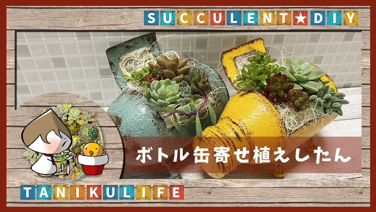 多肉植物】リメ缶に寄せ植えしたん【succulent】 - YouTube