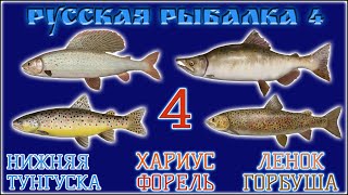 РР4 ТУНГУСКА ХАРИУС / РУССКАЯ РЫБАЛКА 4 ТУНГУСКА ХАРИУС / RUSSIAN FISHING 4 TUNGUSKA GRAYLING