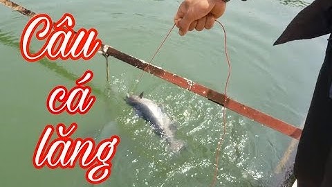 CÂU CÁ LĂNG HỒ NÚI CỐC - TẬP 03