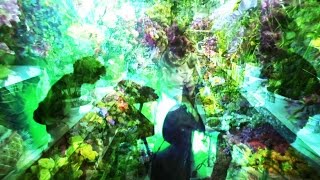 KUF – GOLD