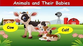 Animal Babies, Baby Animals Names, Animals and Their Young Ones, Animals And Their Babies, Animals