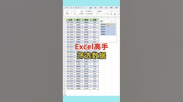 Excel高手筛选数据 筛选数据，高手是这样做的，一定要学会！#excel #办公技巧 #文员 #0基础学电脑 #表格