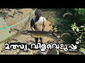 FISH HARVESTING | മത്സ്യ വിളവെടുപ്പ്