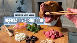 Bird Dog First Duck Head Mukbang - Raw Food Diet