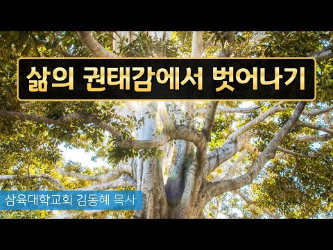 [화요예배] 삶의 권태감에서 벗어나기 - 김동혜 목사 - 2025.03.04.(화)