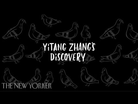Yitang Zhang's Mathematical