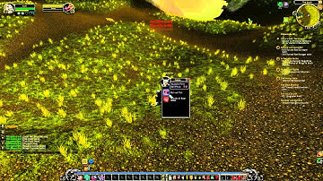 WoW MoP Beta Low-level Monk