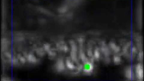 Visual Saliency Tracking in Real-time