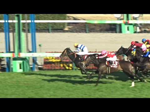 中山記念2023現地レース映像！先の大阪杯を狙うソーヴァリアントやヒシイグアスやスタニングローズ！新星として名乗り出たいラーグルフやドーブネなど好メンバーが揃った！