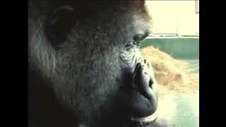 Oliver Eats An Apple