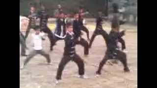 5 Videos, Shaolin Tai Chi Kung Fu Academy