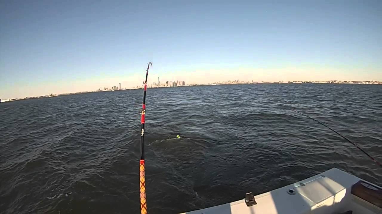 TRUE WORLD TACKLE CAPT AKIRA STRIPED BASS YouTube true-world-tackle-capt-akira-striped-bass-youtube