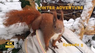 Eichhörnchen springt auf meinen Schoß 🤩 | Squirrel jumps onto my lap