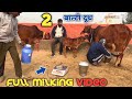 Full Milking Video 👍 2 बाल्टी दूध निकाला है 👍 Kanhaiya Dairy Farm 👍 Dairy Farm Talk