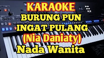 Nia Daniaty - BURUNG PUN INGAT PULANG - Karaoke Wanita