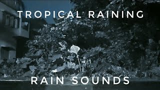 Tropical Raining : Relaxing Rain Sound | Gentle Night Rain ?| Sounds of Natural Rain ?️