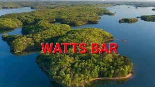 Watts Bar bass fishing