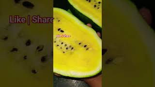Yellow Watermelon 💛 Ever Seen ?