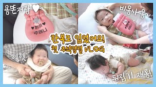The baby's daily V-log in Korean traditional costume "hanbok."