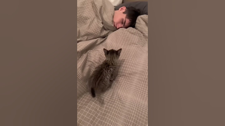 C’est pas mignon ça ? 🤩😂