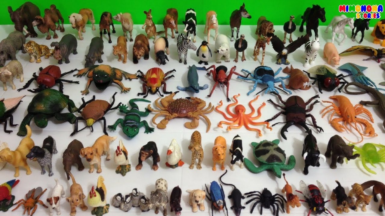 trono Alpinista Seminario Coleccion de Animales 🐻 🦀 🦋 | Animales de la Selva Montaña Granja Mar  Insectos | Mimonona Stories - YouTube