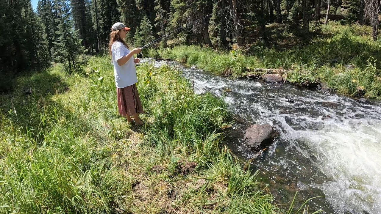 Colorado Grayling fishing adventure on the Grand Mesa ￼