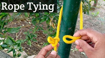 How to tie a rope knot around the tree #how #knots #rope