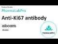 Discover Abcam S Product Recombinant Anti Ki67 Antibody Ab16667 Discover Abcam S Product Recombinant Anti Ki67 Antibody Ab16667