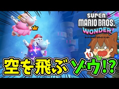 本日発売のスーパーマリオワンダーを遊ぼうとしたら…【スーパーマリオブラザーズワンダー#1】ゆっくり実況プレイ【Super Mario BROS.wonder】