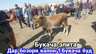 картинка: Молбозори Восеь, ш, Кулоб, Рахмон берди, нархи Букача,  3 октября 2023 г.