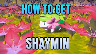 What item transforms Shaymin?