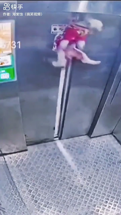 Dog get stock in the elevator #fails #crash