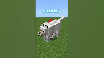 ثلاث معلومات ربما لم تكن تعرفها عن الكلب في لعبة ماين كرافت خطيير 