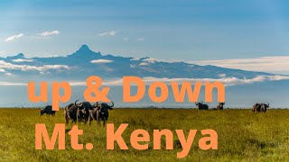 Mt KENYA is the PURPLE  Planet on  MARS!!  Our DESCENT From the Summit to Old Moses. # Episode 4 by Over Yonderlust 331 views 4 years ago 24 minutes