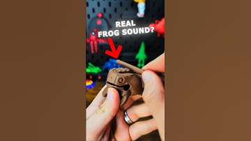 3D Printed Real sounding Percussion Frog instrument #cooking
