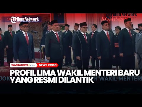 Profil Lima Wakil Menteri Baru Yang Resmi Dilantik Presiden Jokowi Hari Ini