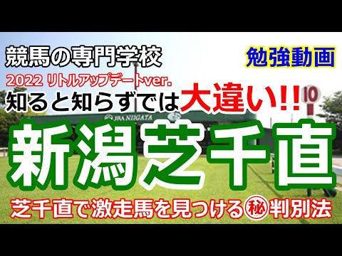 【競馬】日本はここだけ新潟芝1000m直線 初心者にも分かる徹底解説【競馬の専門学校】