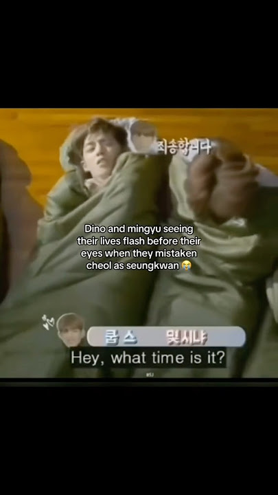 So scared their every sentence started from sorry #scoups #seventeen #dino #seungkwan #mingyu#shorts