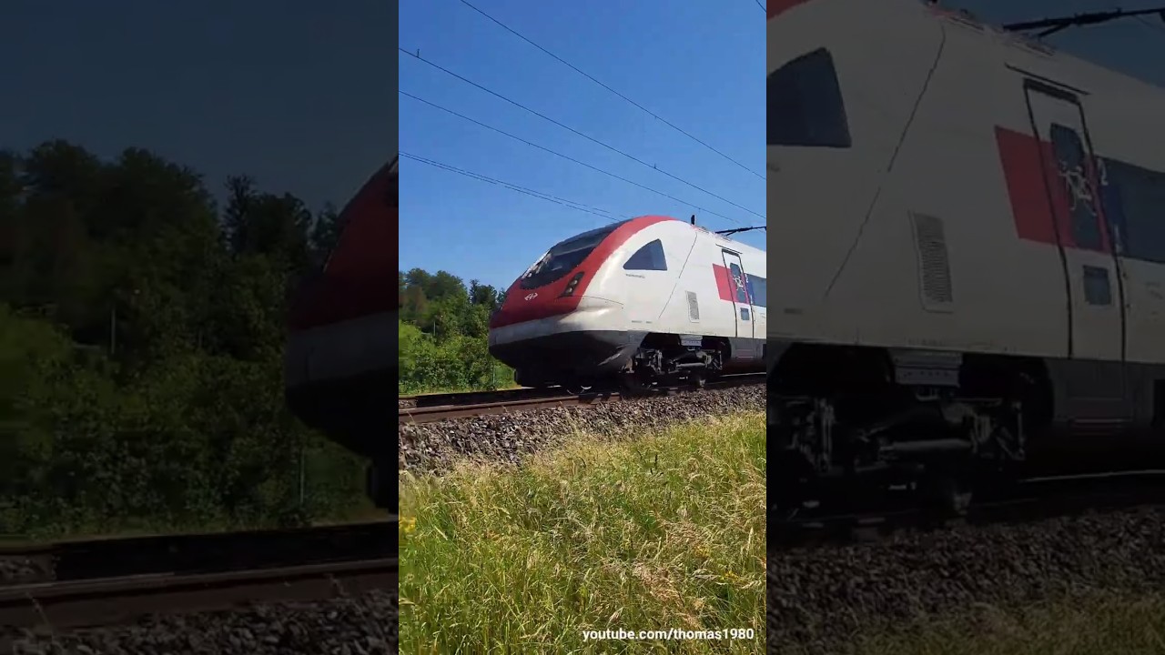 SBB ICN (RABDe 500) bei Othmarsingen im Kanton Aargau / Schweiz 2023 / #shorts