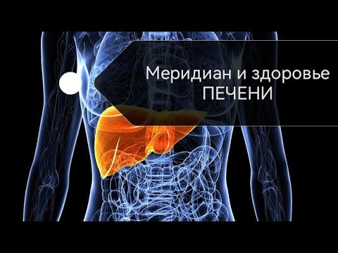 12) Меридиан Печени! Точка и Растение для здоровья печени! Бхумиамалаки ...