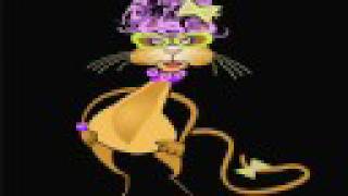 Kitty Dances Macarena