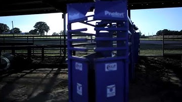 LEGEND Instructional Team Roping DVD