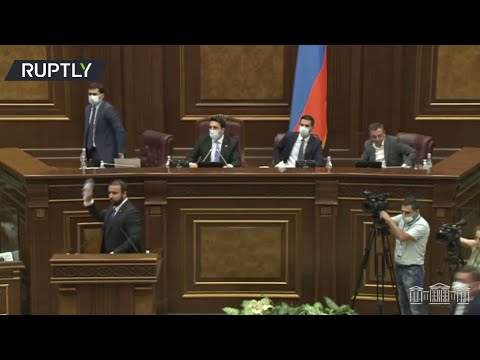 Anything Goes in Yerevan | Scuffle at the Armenian Parliamentary Session