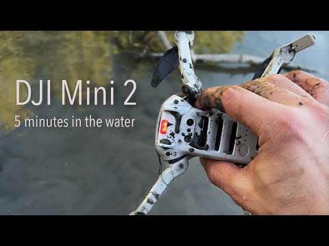 My DJI Mini 2 crashed to the water - will it work?