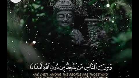 ومن الناس من يتخذ من دون الله اندادا 🌷💖 حالات واتس اب دينية قصيرة مؤثرة قرآن كريم تلاوة خاشعة