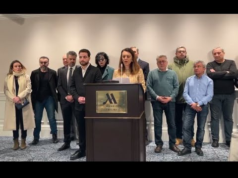 მიმართვა ვოლოდიმირ ზელენსკის