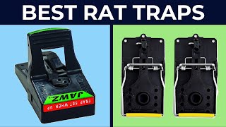 Best Rat Traps 2020 Top 6 Rat Traps Review
