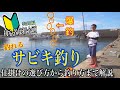 堤防のサビキ釣りのコツ！実釣で釣り方を解説【釣り初心者講座#18】